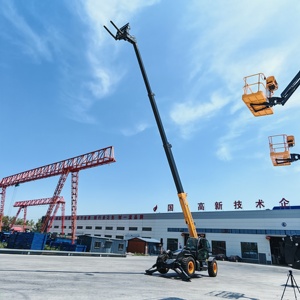 柴油动力重型全地形越野轮胎4WD高性能伸缩臂叉车 - Product Image 2