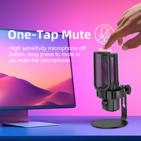 Microphone cardioïde Studio professionnel enregistrement diffusion podcasting jeu en direct USB RGB Microphone à condensateur