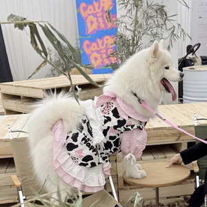 Falda de Encaje para Perros, Primavera-Verano, Delgada, para Perros Medianos y Grandes, Linda Ropa para Perros y Gatos, <span class=keywords><strong>Samoyed</strong></span>, Anti-Caída de Pelo - Product Image 1