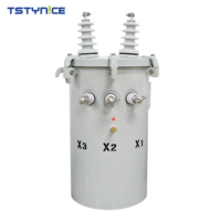 Transformadores de Media Tensión y Alta Tensión Sumergidos en Aceite, Monofásicos, Salida de 600v, Frecuencia de 50Hz y 60Hz, con Certificación CE, Gran Oferta
