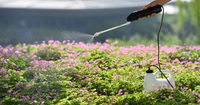 Pulvérisateur Écologique Sans Fil 5L pour Contrôle des Nuisibles Intérieur/Extérieur, Répulsif Anti-Insectes et Désherbant