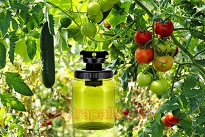 Piège à mouches avec appât, bouteille de capture d'insectes de grande taille en PP jaune et noir de 1200 ml, à suspendre en extérieur - Product Image 4