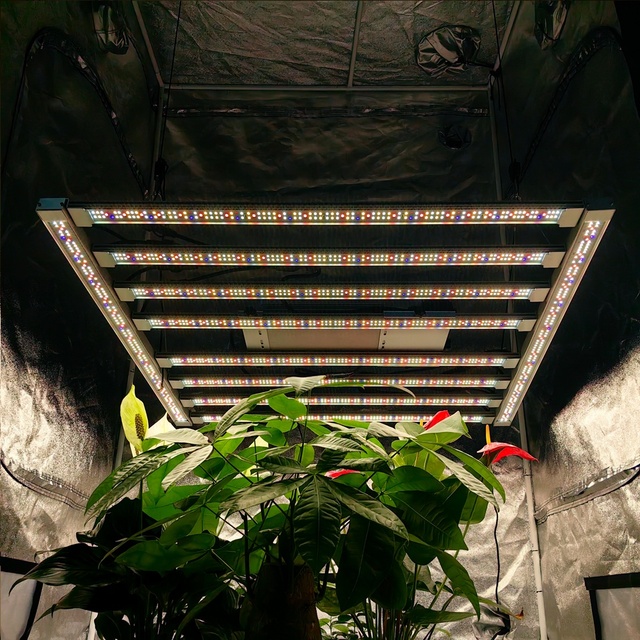 680 Watt Full Spectrum Led Plant Grow Light bar Commercial Uv Ir 600W Lm301h Led Grow Light for Vertical Farming Horticulture