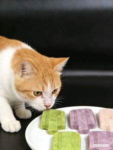 Ventes en gros de collations glacées lyophilisées pour chats <span class=keywords><strong>et</strong></span> chiens - Product Image 5