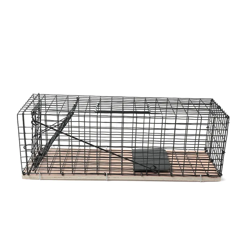 Populaire Live Mouse Trap Cage No Kill Rat Black Cage Piège à souris en bois Animal Friendly