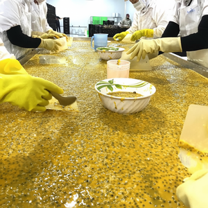 Nuevos productos 2023 maracuyá congelado - Product Image 1