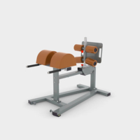 Banc de musculation commercial de gymnastique, taille et abdominaux, entraîneur de dos, ascenseur de jambe inversé, banc de chaise romaine