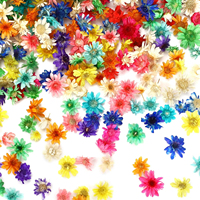Kleurrijke mini Braziliaanse kleine gedroogde bloemen voor scrapbooking, kaartjes maken en fotolijstdecoratie.