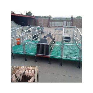 Cama de Parto <span class=keywords><strong>Aow</strong></span>, Equipo para Granjas Porcinas, Jaula de Crecimiento para Lechones, Equipo para Cría de Cerdos - Product Image 5