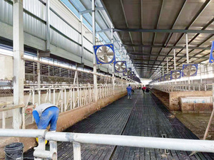 Gübre kazıyıcı altında inek kauçuk mat/toptan hayvancılık Mat/husbandry ekipmanları için durak döşeme - Product Image 6