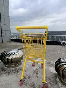 RH-SC03 480*325 * 680毫米22L黄色儿童购物车可爱儿童购物车 - Product Image 4