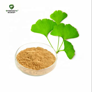 은행나무 추출물 분말 및 플라보노이드 진코글라이드 은행나무 추출물 표준화된 은행나무 추출물 테르펜 락톤 - Product Image 3