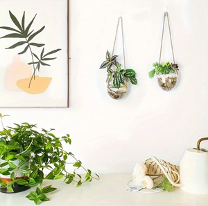 Großhandel Glas-Hänge-<span class=keywords><strong>Terrarium</strong></span> Vase <span class=keywords><strong>Terrarium</strong></span>-Glasbehälter Blumentöpfe für Sukkulenten Heim- und Gartendekoration - Product Image 4