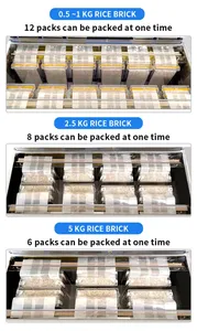 เครื่องซีลสูญญากาศอัตโนมัติ รุ่น DZ-880 สำหรับเนื้อสัตว์ ไก่ อาหารทะเล ปลา ข้าว อิฐ และสินค้าขนาดใหญ่ - Product Image 6