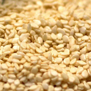 Semillas de Sésamo Blanco Premium, Ingredientes Alimenticios Naturales Secos, Suministro al por Mayor para Panadería, Confitería, Condimentos y Salsas - Product Image 1