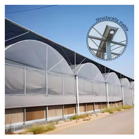 Serres Agricoles Polyvalentes pour l'Agriculture Commerciale et le Cultivation