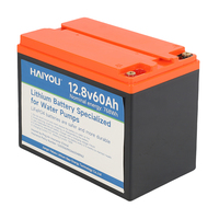 Batterie de stockage d'énergie rechargeable LiFePO4 prismatique au lithium-ion 12V 60Ah OEM d'usine 12.8V solaire HAIYOU 2000 cycles électrique