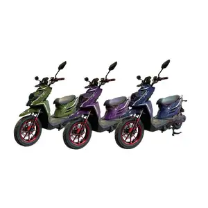 Moto per biciclette due batterie caricabatterie ruote motore cambio manuale bambini Shikko Brat distributore 36V bicicletta elettrica