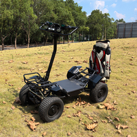 Carrito de Golf Plegable de 4000W a Precio de Fábrica, Mini Carrito de Golf de 1 Plaza, Buggy de Golf 60V 4x4, Carrito de Golf Eléctrico Utilitario de 1 Plaza