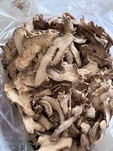 Sélection de rhizomes de gingembre amer géant à chair épaisse et aux huiles essentielles naturelles pour l'extraction - Product Image 6