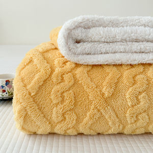 Manta de Felpa de Doble Cara OEM, Tejida en Poliéster Sherpa, para Todas las Estaciones, Suave y Cálida, para Cama, Sofá, Dormitorio, Sala de Estar, Uso Doméstico - Product Image 3