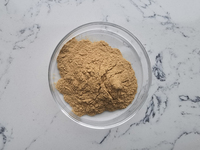 Extrait de Labisia Pumila soluble dans l'eau, qualité alimentaire 10:1, poudre d'extrait de Kacip Fatimah