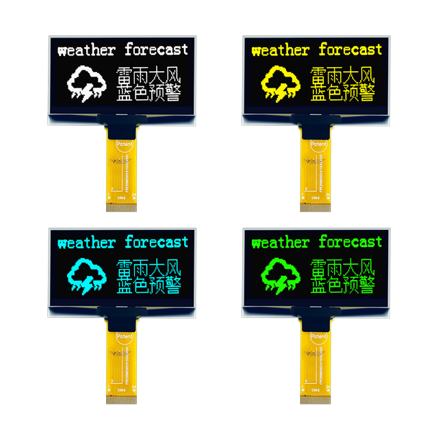 2.42 Inch Mini OLED Display Monitor Screen 128x64 High Resolution 24 Pin AMOLED Module Panel Monochrome White POLED Type