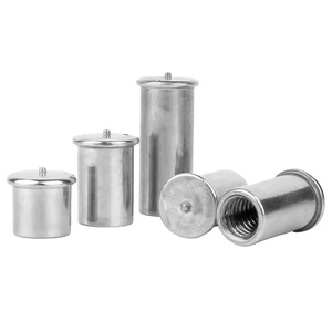 Vis de soudure <span class=keywords><strong>à</strong></span> points en acier inoxydable, goujons de soudure pour connecteurs filetés, vis <span class=keywords><strong>à</strong></span> goujons de fixation - Product Image 2