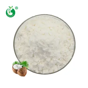 Bulk Price Bio-Kokosnusscreme-Milchpulver