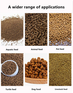 Nouvelle Granulatrice et Broyeur à Granulés Diesel Haute Productivité 200 kg/h pour la Transformation d'Aliments pour Animaux et de Granulés de Bois - Product Image 4