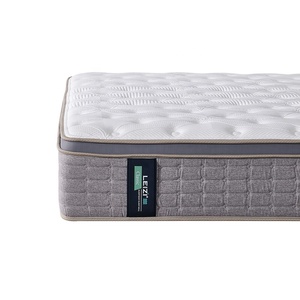 Vải Dệt Kim Euro Top Nữ Hoàng Kích Thước Nhỏ Túi Mùa Xuân Nệm Nén Trong Một Hộp Giường Nệm Công Ty Biên Giới Suppile - Product Image 4