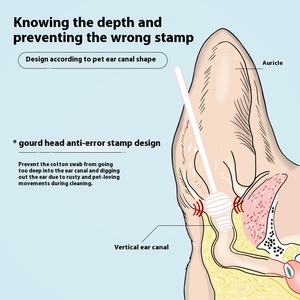2025 recién llegado, paquete de 110 hisopos ecológicos <span class=keywords><strong>para</strong></span> mascotas, aceite esencial, barra de limpieza de oídos con líquido <span class=keywords><strong>para</strong></span> <span class=keywords><strong>lavar</strong></span> oídos <span class=keywords><strong>para</strong></span> gatos y perros - Product Image 4