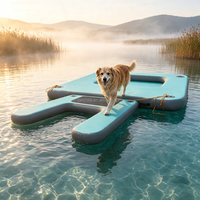 Rampe flottante gonflable pour chien, échelle pour animaux de compagnie, capacité 260 LBS, rampe antidérapante en PVC pour piscine, lac, yacht