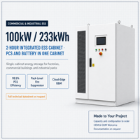 Armoire BESS 100 kW 233 kWh pour stockage commercial, avec système PCS combiné de deux heures, pour sites industriels et entrepôts