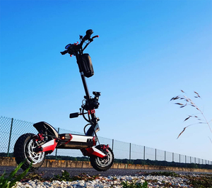 Scooter eléctrico de alto rendimiento con doble motor y doble suspensión todoterreno 2000W <span class=keywords><strong>Zero</strong></span> 10X - Product Image 5