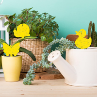 Pièges collants anti-parasites haute efficacité, colle forte double face jaune, imperméables et résistants au soleil pour fleurs en pot