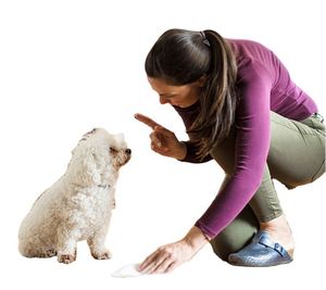 Échantillon Gratuit, Vente en Gros, Tapis d'Entraînement Biodégradable Économique pour Chiens, Absorbant les Urines, pour l'Apprentissage de la Propreté des Animaux - Product Image 5