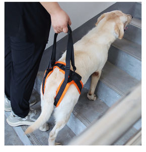 ชุดสายจูงสุนัขแบบพับเก็บได้ชุดสายจูงฝึกสไตล์การ์ตูนแบบเรียบง่ายทำจากโพลีเอสเตอร์ที่ทนทานกระดุมโดยตรง - Product Image 4