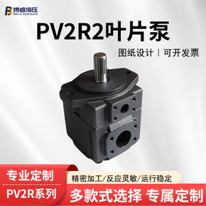 Pompe à palettes à déplacement fixe PV2R2, pompe pour systèmes hydrauliques personnalisés, pour machines de moulage par injection et engins de génie civil, homologuée - Product Image 4