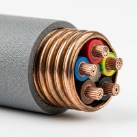 Kabel Daya Lantian RTTYZ 5 Inti Berisolasi Mineral dengan Selubung Tembaga dan Selubung Luar Poliolefin 0.6/1kV 220/380mm untuk Perlindungan Kebakaran