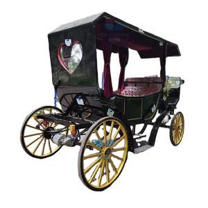 Customized Fashion Horseless Electric Carriage with <b>Canopy</b> <b>for</b> Sightseeing Special Transportation <b>for</b> <b>Sale</b> - Product Image 5
