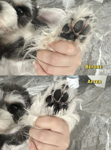 लक्जरी कुत्ते पंजा क्लीनर सिलिकॉन ब्रश वाटरलेस पालतू शैम्पू मूत्र पैर की सफाई कुत्तों और बिल्लियों के लिए फैक्टरी कम कीमत - Product Image 2