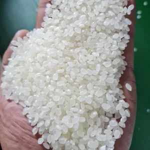 베트남에서 만든 칼로즈 쌀 NamJaponica 짧은 곡물 쌀 미국 쌀-Riz-Arroz -Whatsapp 0084 989 322 607