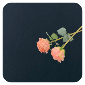 مورد صيني من المصنع ملابس عمل منسوجة من نسيج القطن مخصصة شورت تويل ممشط قميص غزل قطن ياباني - Product Image 3