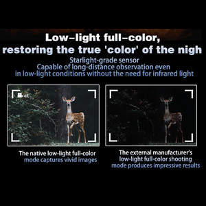 Night Vision Binoculars 25mm Objective 4 Inch Screen Digital Infrared Outdoor Hunting Surveillance Telescope - Product Image 5