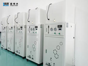 Desionizador de Laboratorio Avanzado con Regeneración Automática que Garantiza la Producción Continua de Agua de Alta Pureza para Uso Científico - Product Image 4