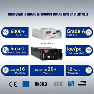 51.2V <b>Rack</b>-Mounted Lithium Ion Battery for Hybrid Grid Household Energy Storage 10-20KW Output Power All-In-One System with BMS - Product Image 6