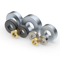 Nieuwe Mode Ferriet Magneet Schijf Gepersonaliseerde 18K Goud Gegalvaniseerd Goede Prijs Neodymium Fruit Poeder Ring