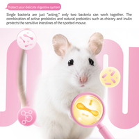 Alimentation Cuite pour Hamsters YEE Factory en Gros : Formule Naturelle à Haute Teneur en Protéines, Nutrition Équilibrée, Alimentation Quotidienne Essentielle pour Rats de Compagnie