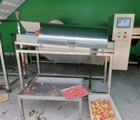 Automatische Peeling Granaatappel Grapefruit Mandarijn Passievrucht Zaad Verwijderen Machine Fruit Pulp Separator Machine